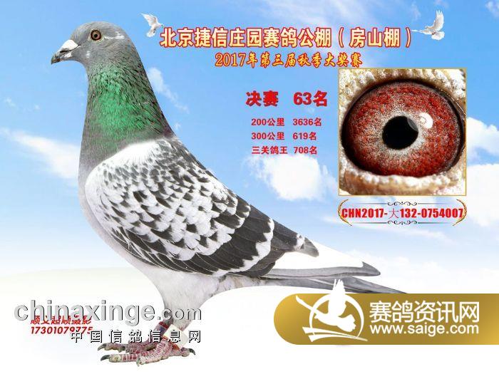 包頭威業(yè)賽鴿公棚最新公告，小巷中的隱藏特色小店揭秘