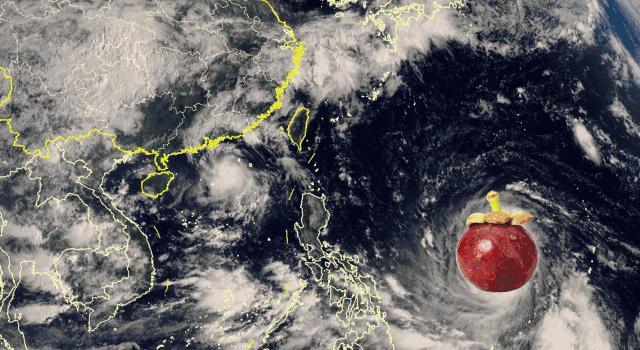 今日臺風(fēng)最新動態(tài)，溫馨日常趣事與天氣更新通知