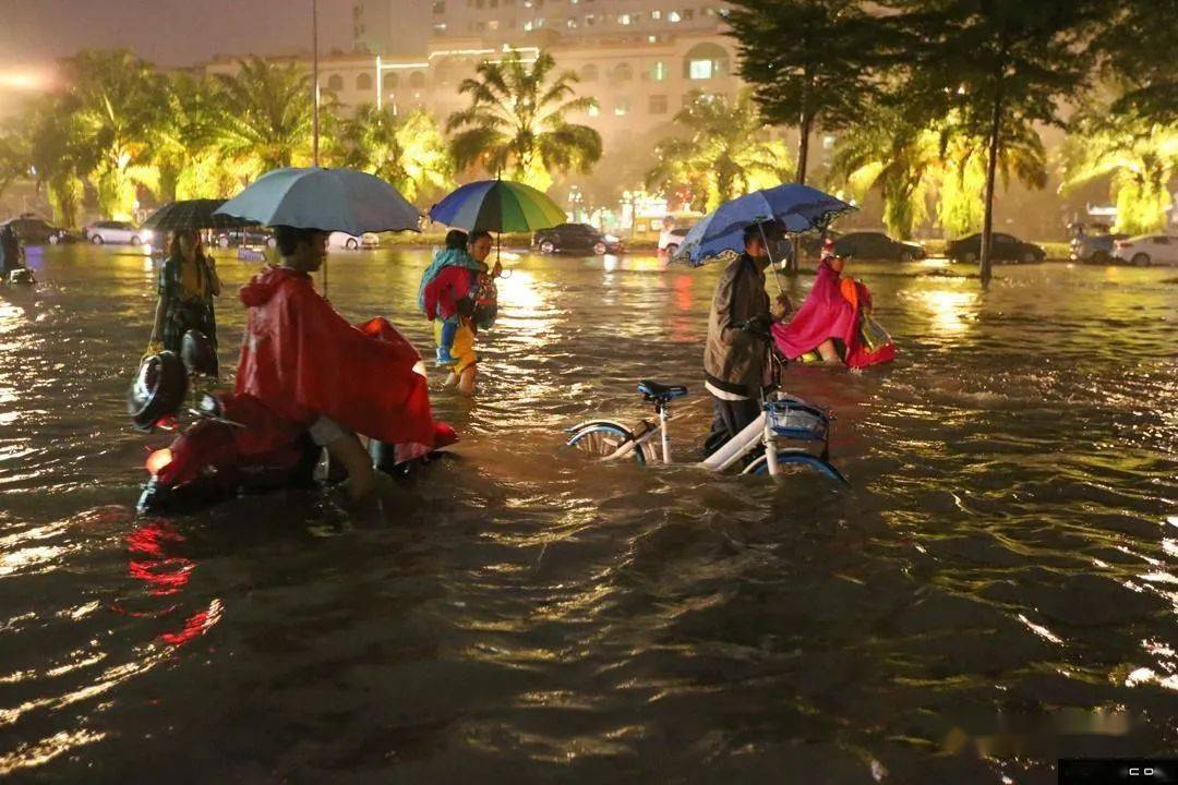 海南臺風(fēng)最新消息，臺風(fēng)下的溫馨日常