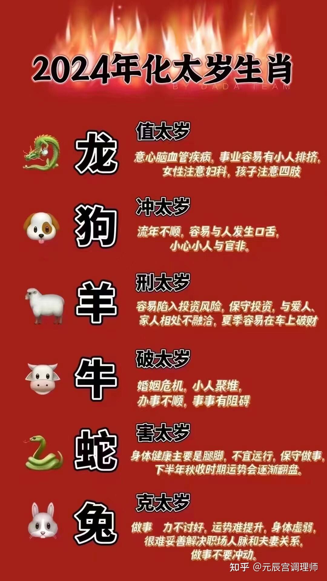 2024年十二生肖49碼表,全身心解答具體_TTZ83.966旅行者版