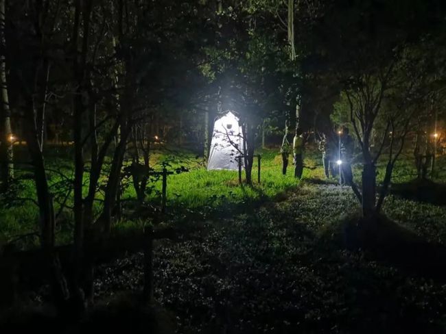 湯姆影院最新地址，自然美景的探索之旅專場(chǎng)