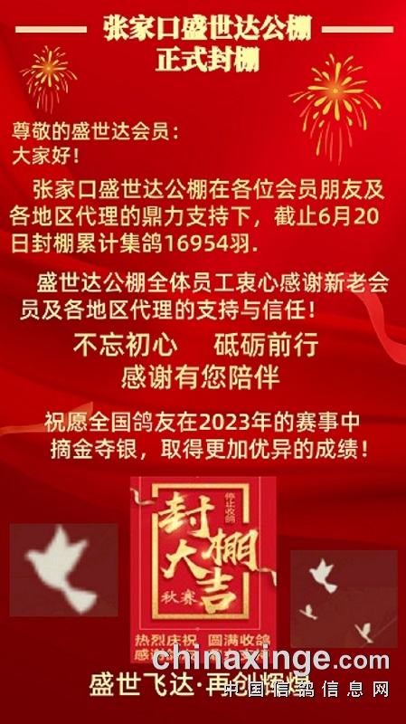 盛世達(dá)公棚啟航新征程，自信成就未來，最新公告發(fā)布