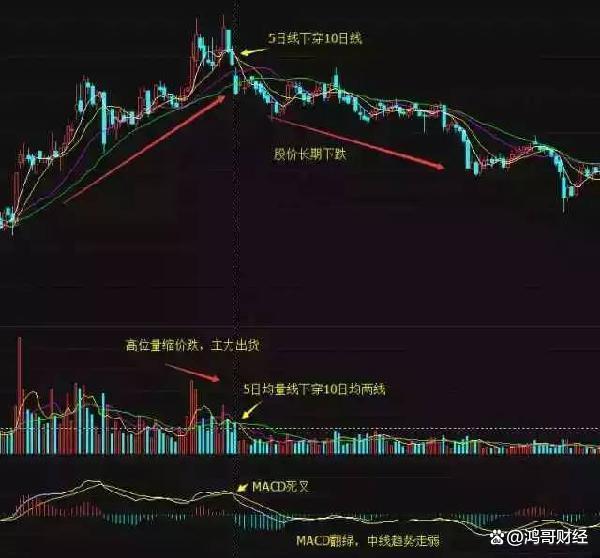 牛散最新持股，心靈與自然的完美交融