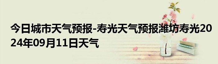 壽光最新天氣預(yù)報(bào)及獲取指南