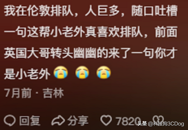 中網(wǎng)最新動態(tài)，家的溫馨故事一網(wǎng)情深