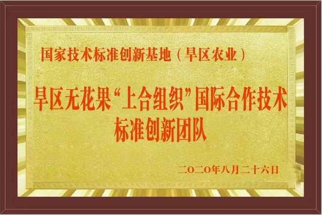 楊凌招聘網(wǎng)最新招聘探索，小巷特色小店隱藏寶藏！