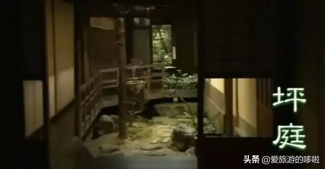 最新日本電影，小巷深處的隱藏瑰寶