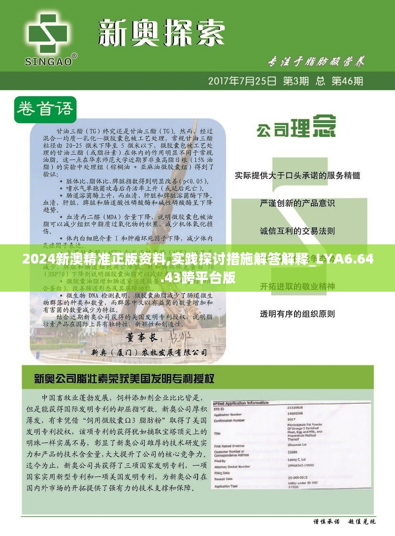 新澳2024最新版,快速解決方式指南_GXR78.818透明版