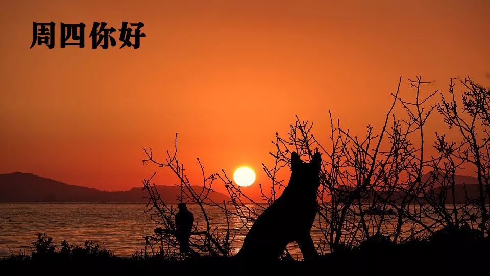 最新清晨心語，開啟自信與成就感的每一天旅程