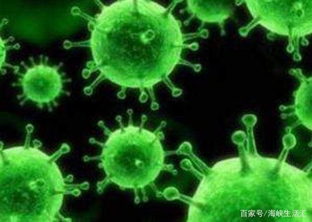 新澳資料大全2024年,科學(xué)解釋分析_NUG81.841品牌版