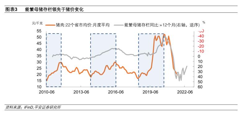 全國最新豬價分析與展望，趨勢解讀及預(yù)測報告