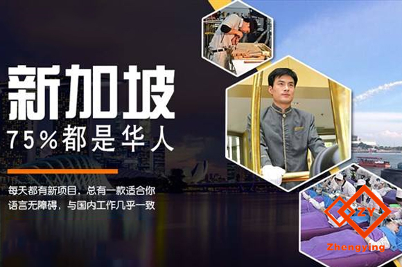 新加坡招聘網(wǎng)最新招聘，時代的脈搏與人才的交匯舞臺