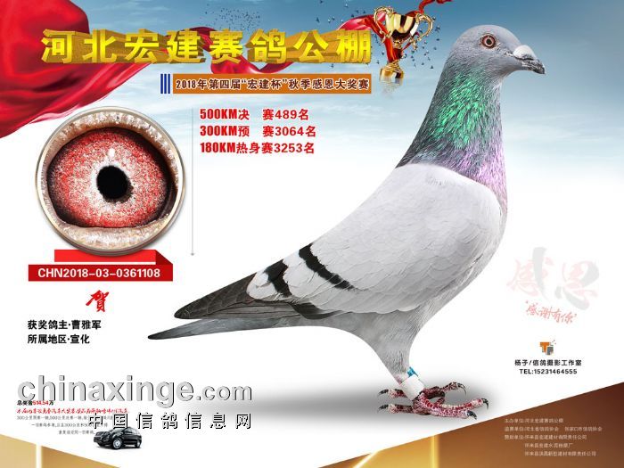 宏建公棚最新公告揭秘，小巷深處的特色小店等你來探索！