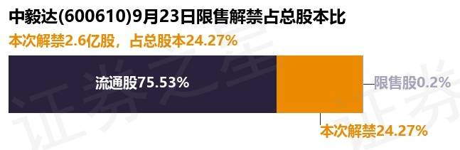 中毅達(dá)重組最新進(jìn)展，小巷中的隱藏瑰寶揭秘