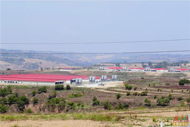 減產(chǎn)最新動態(tài)，背景、進展及影響全面解析