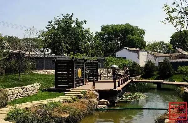 最新曳步舞與自然美景的親密之旅，尋找內(nèi)心的平和舞步