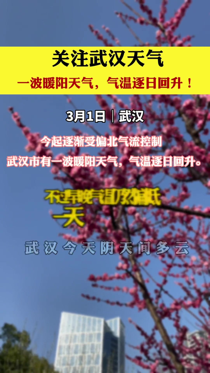 武漢最新天氣預(yù)報(bào)更新，實(shí)時(shí)天氣狀況解讀