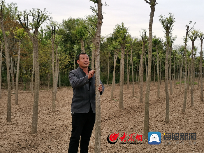 定陶區(qū)黃店鎮(zhèn)最新新聞報(bào)道