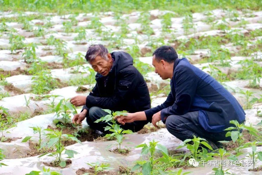 玉山人才網(wǎng)最新招聘啟航，探索自然美景，尋找內(nèi)心平和之旅