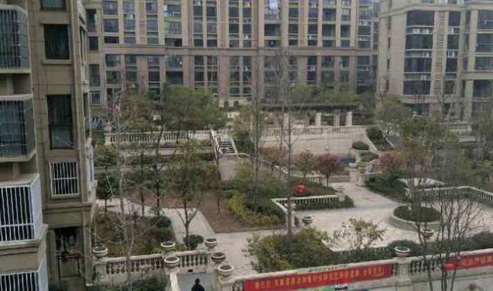 樅陽逸龍山莊最新房價揭秘，小巷深處的驚喜探索