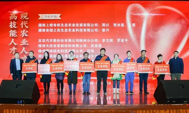 樂山高新區(qū)人才招聘熱潮，機(jī)遇與挑戰(zhàn)并存的熱土