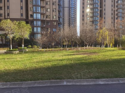 力合伊水苑最新房價揭秘，小巷深處的驚喜探索之旅