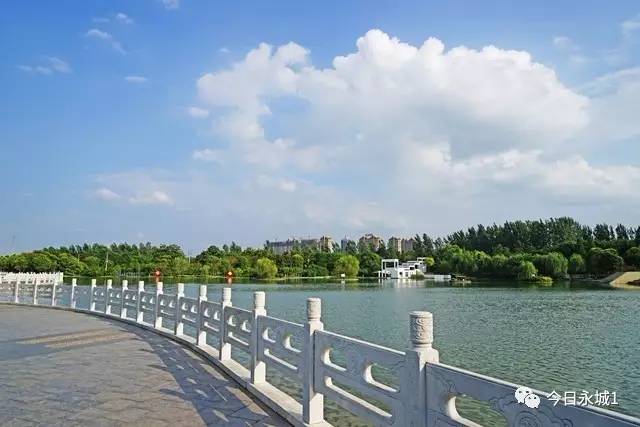 永城市最新任免動態(tài)及自然美景探索之旅