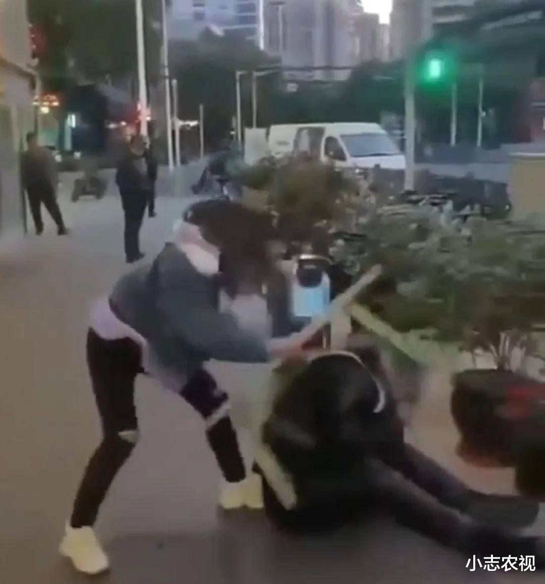 上海交警打人事件最新進(jìn)展概述
