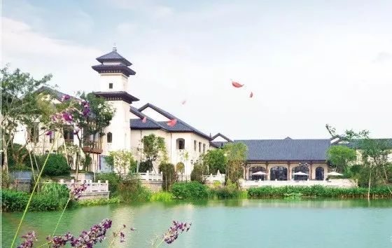 夏津德和園最新動(dòng)態(tài)與溫馨日常體驗(yàn)
