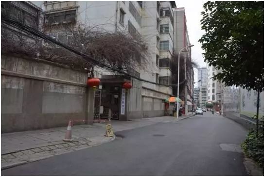 李依芮最新消息2015，小巷深處的獨特風(fēng)味探秘之旅
