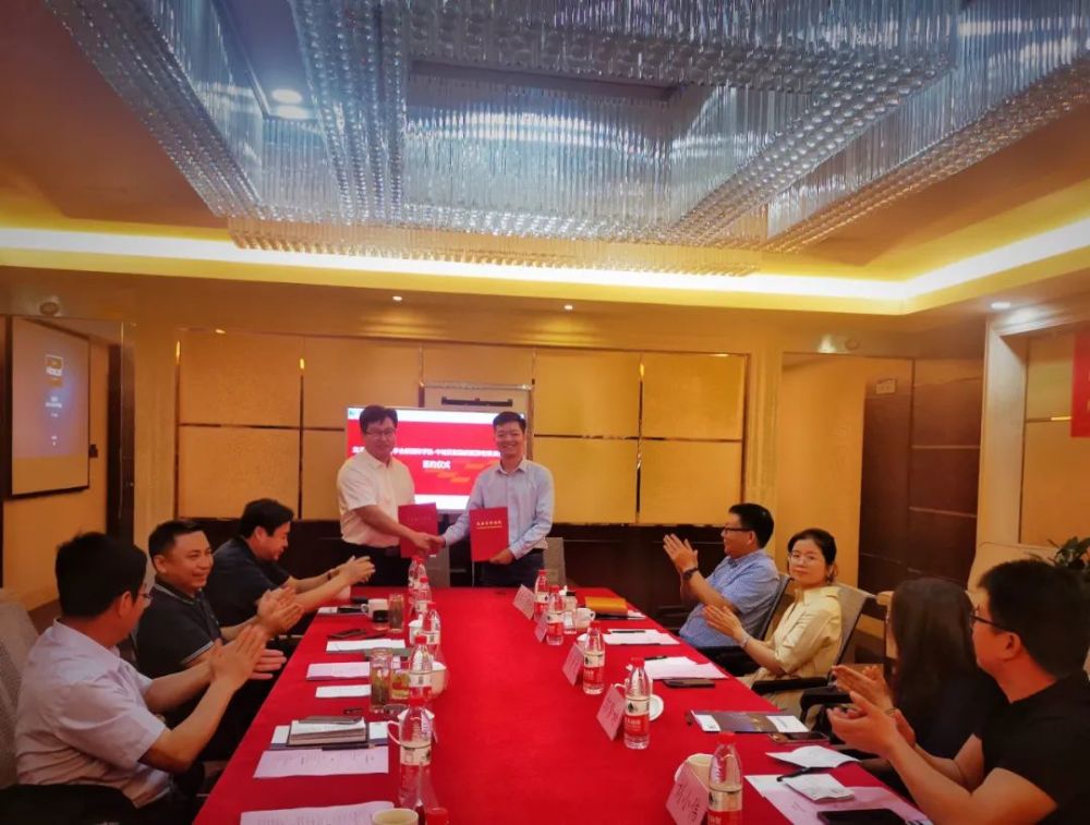 新型洗滌劑，小巷中的隱藏寶藏揭秘