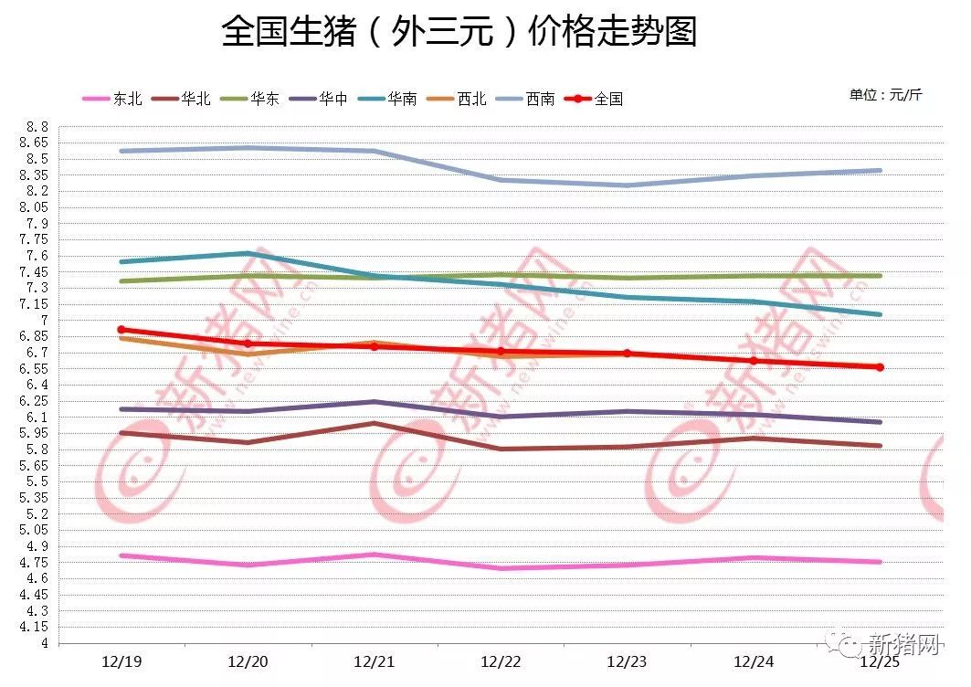 今日生豬價(jià)格動態(tài)詳解，全面指南與最新動態(tài)分析