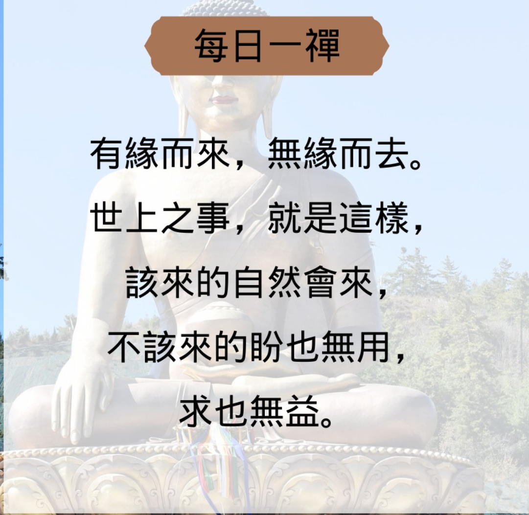 最新每日一禪，探索與反思之路