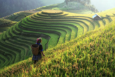 農(nóng)村征地最新政策解析，自然美景探索之旅啟程