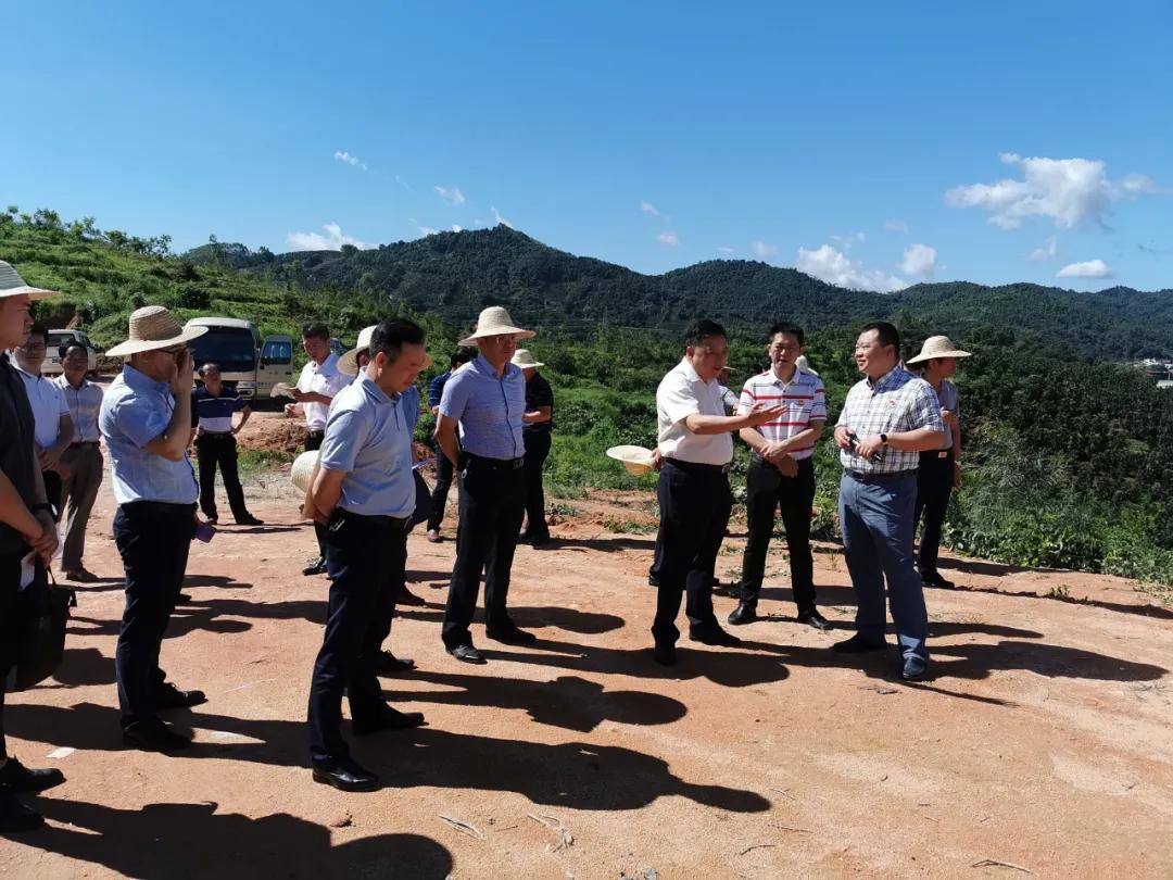 南昌縣蓮塘最新規(guī)劃，與自然美景的邂逅，內心平和之旅啟程