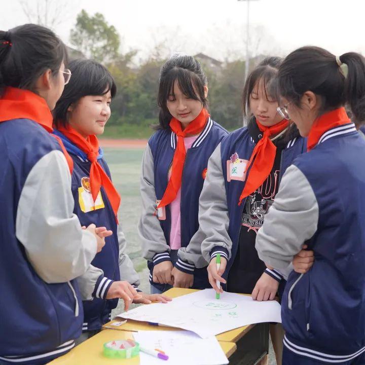 中興通訊最新招聘動(dòng)態(tài)解析，探索職業(yè)發(fā)展新機(jī)遇