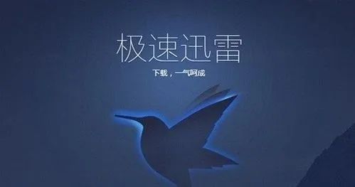 迅雷極速版最新論述，探索其優(yōu)勢與特點(diǎn)