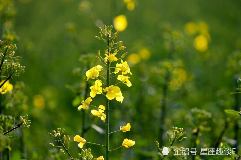 博全鋁業(yè) 第285頁(yè)