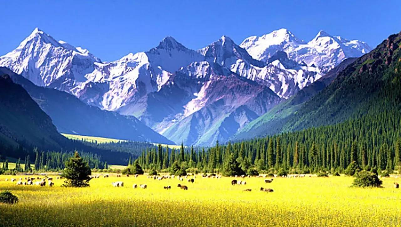 喀左最新圖片，自然美景的探索之旅