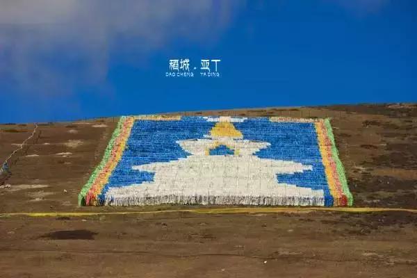 泰州疫情下的自然探索之旅，尋找內(nèi)心的平和與寧靜