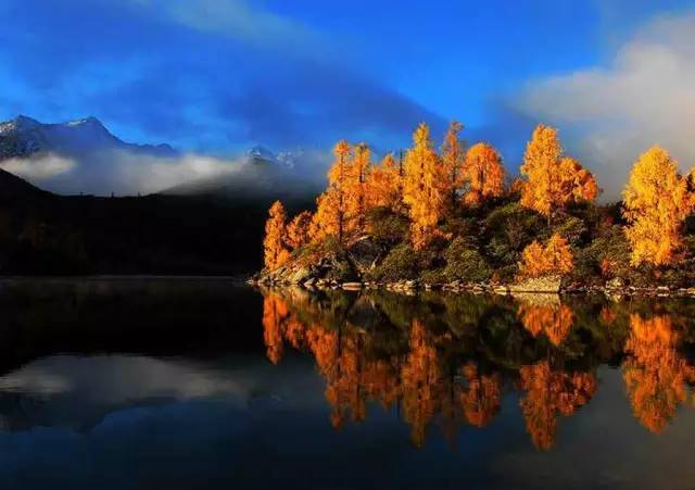 國(guó)內(nèi)山火下的溫情故事，山林間的奇遇與陪伴
