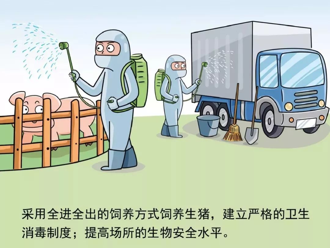 最新病毒謠言揭秘與應(yīng)對策略