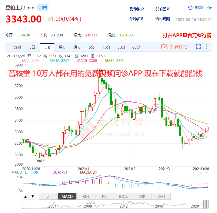 太貨六銖最新價(jià)格與市場(chǎng)走勢(shì)多元觀點(diǎn)分析