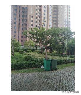鄒城碧桂園最新動(dòng)態(tài)更新