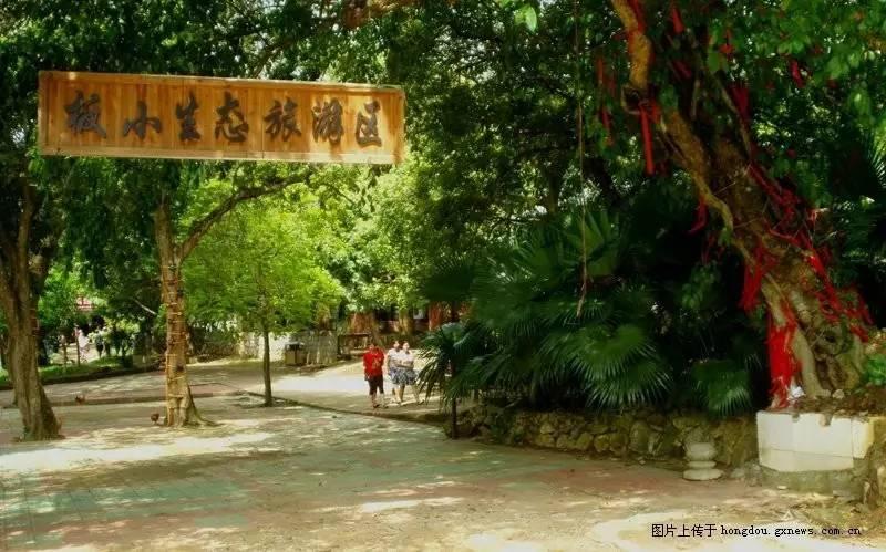 崇左紅豆社區(qū)最新動態(tài)，一種觀點的分析與闡述