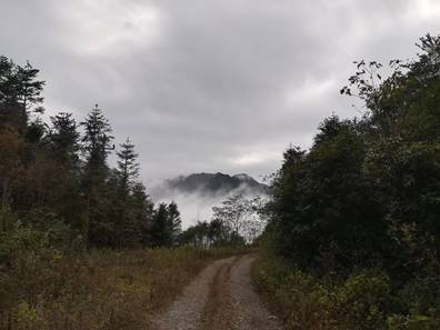 探索自然美景之旅，啟程于77ebeb最新地址，尋找內(nèi)心的寧?kù)o與和諧