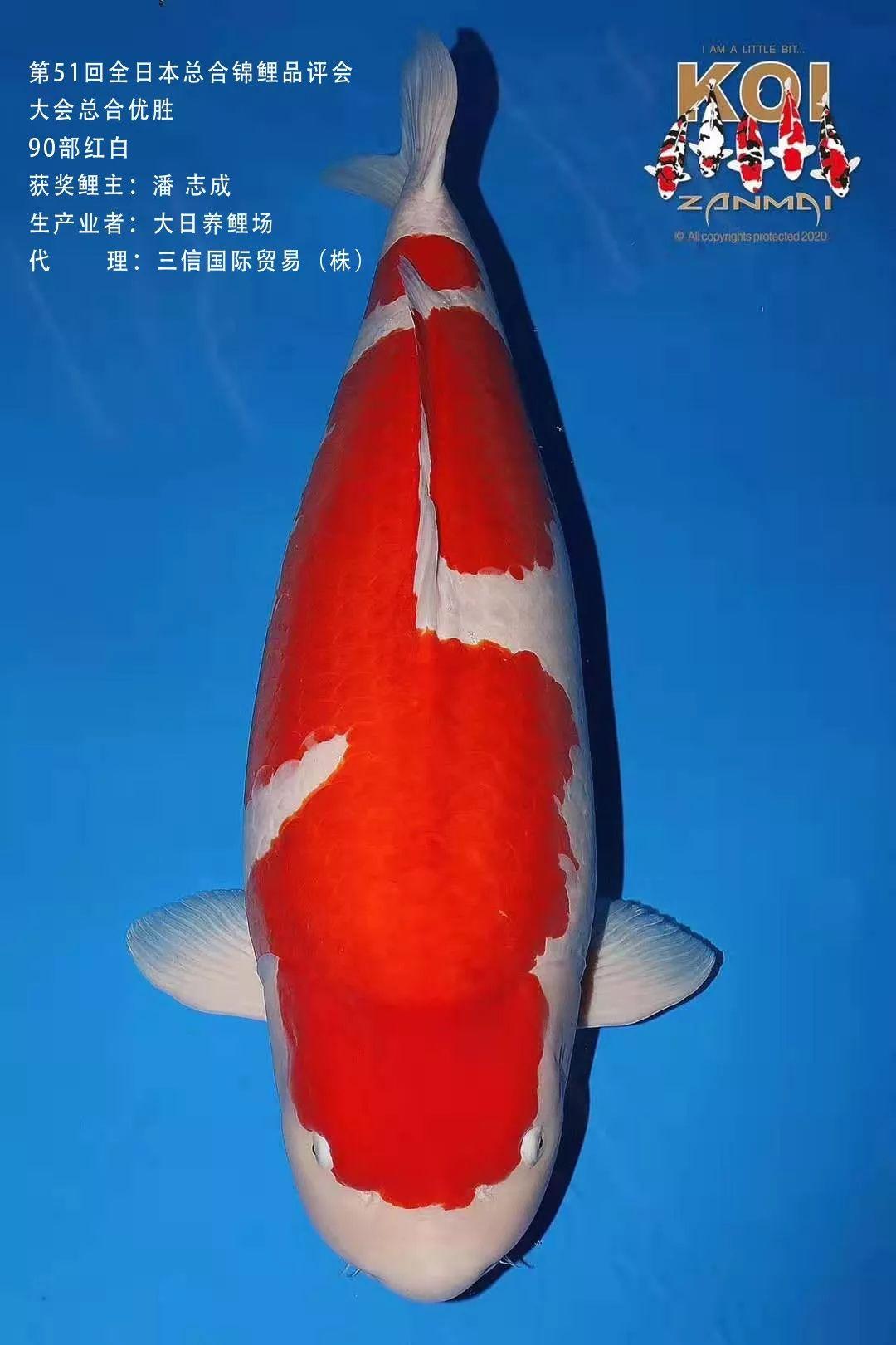 西安合拼三原最新超熱門(mén)攻略，超詳細(xì)指南！