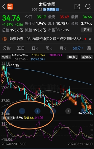 太極股份最新動(dòng)態(tài)，小巷深處的潛力股揭秘