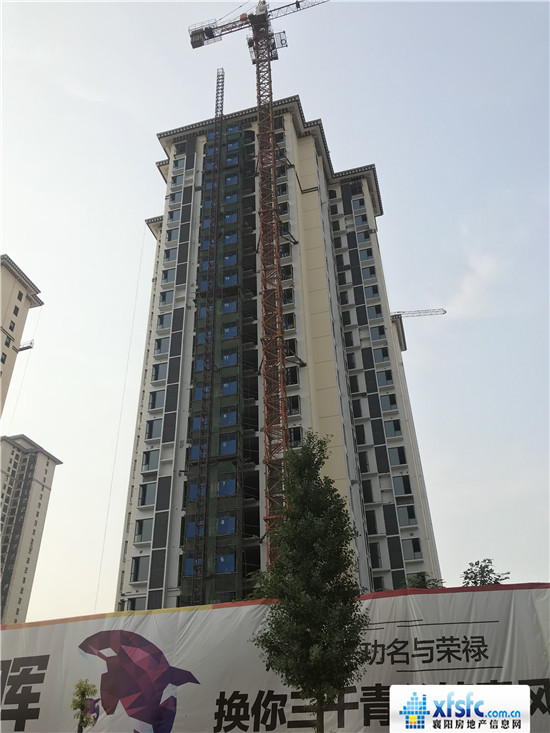 鉑郡東方最新工程進(jìn)展及觀點(diǎn)論述揭秘