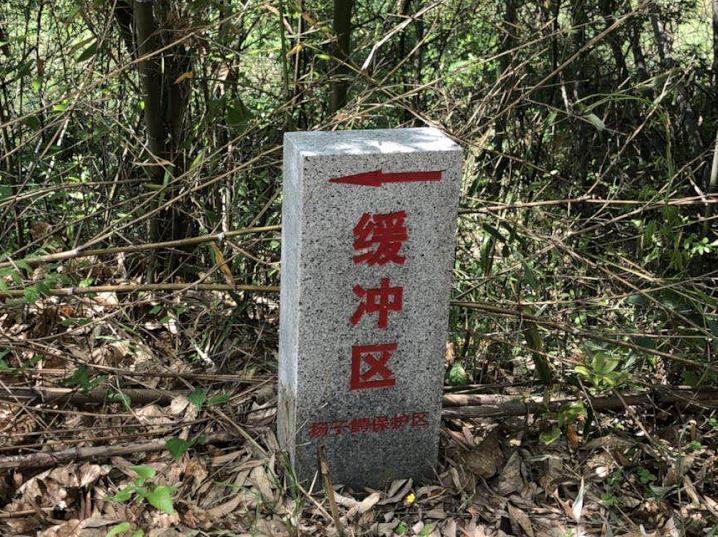廣德鳳凰水庫最新文件，時(shí)代的印記，未來的希望展望